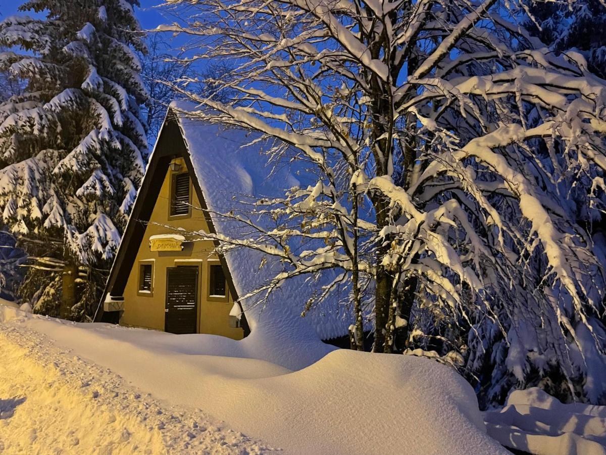 Holiday Home Kragovic Kopaonik Exterior photo