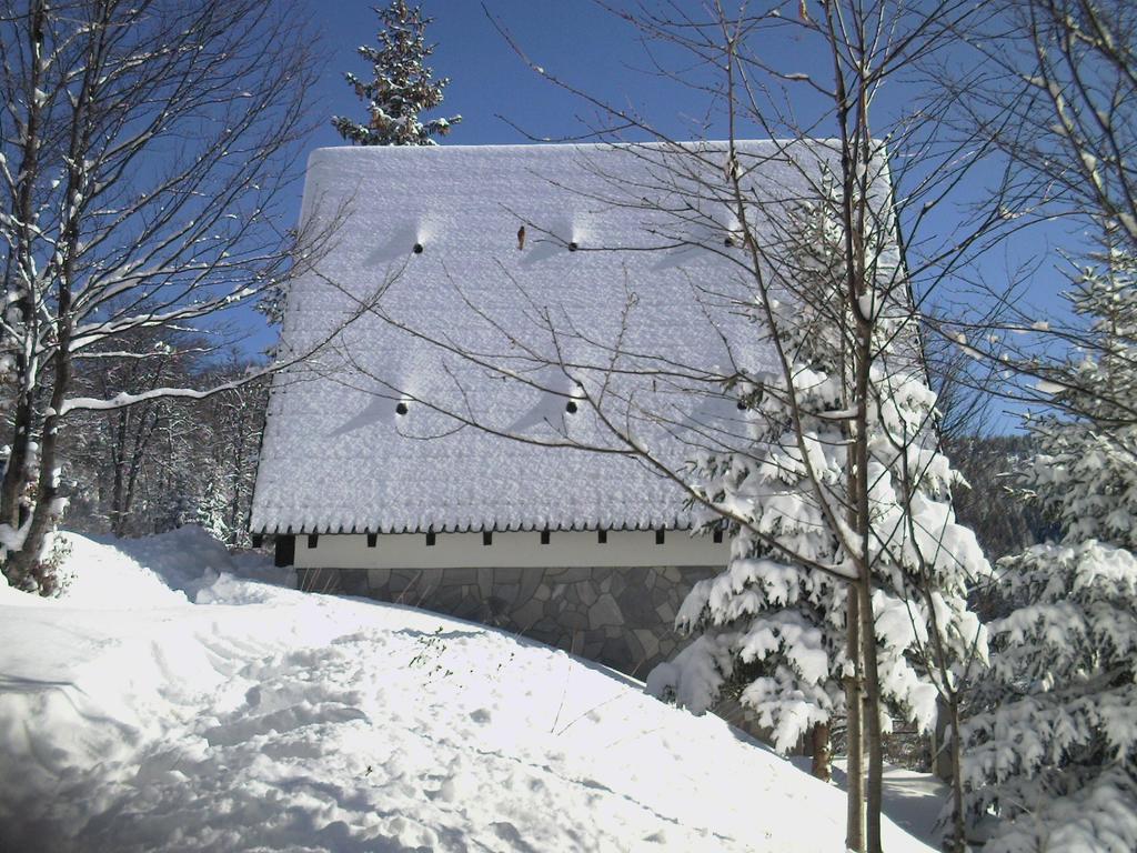 Holiday Home Kragovic Kopaonik Exterior photo